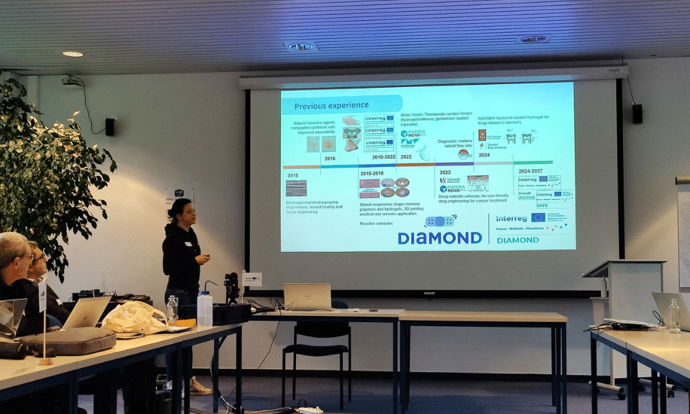 Webinaire d&rsquo;information du projet européen DIAMOND