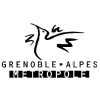 Grenoble - 100x100